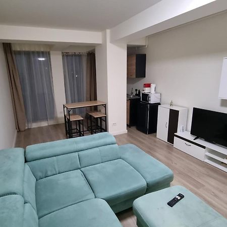 Apartament Cwa 1 Aeroport Otopeni Εξωτερικό φωτογραφία